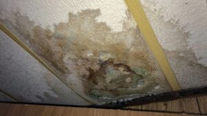 Pipe Leaks and Water Damage Trusted Water Systems