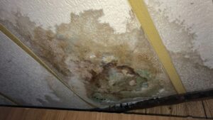 Pipe Leaks and Water Damage Trusted Water Systems